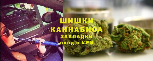 ПСИЛОЦИБИНОВЫЕ ГРИБЫ Алзамай