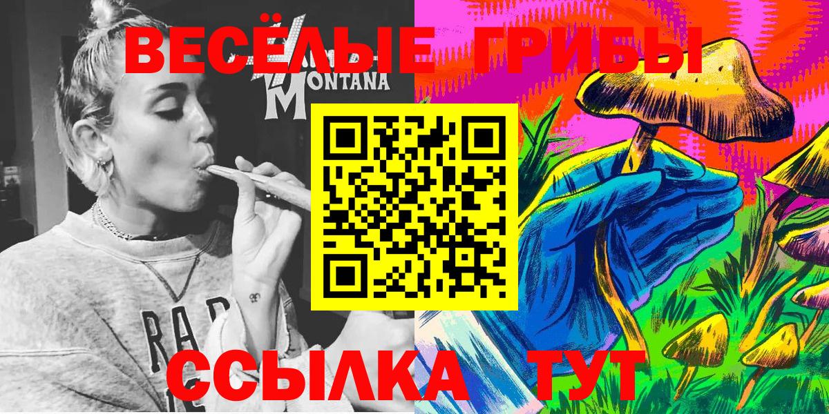 Псилоцибиновые грибы мухоморы Амурск