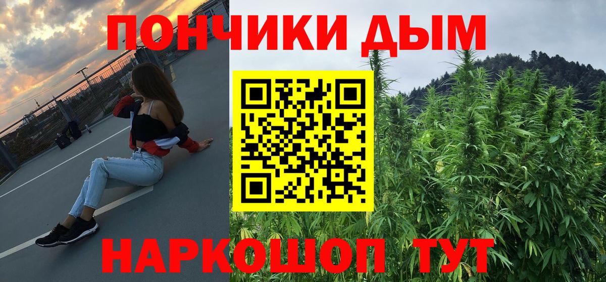 Каннабис план Амурск
